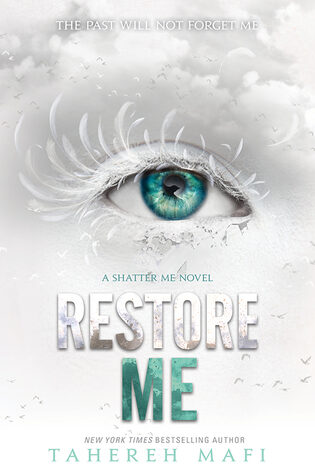 Book Review: Restore Me, an Embroiling Read